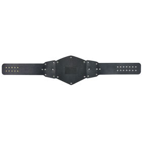 NXT Tag Team Championship Replica Title