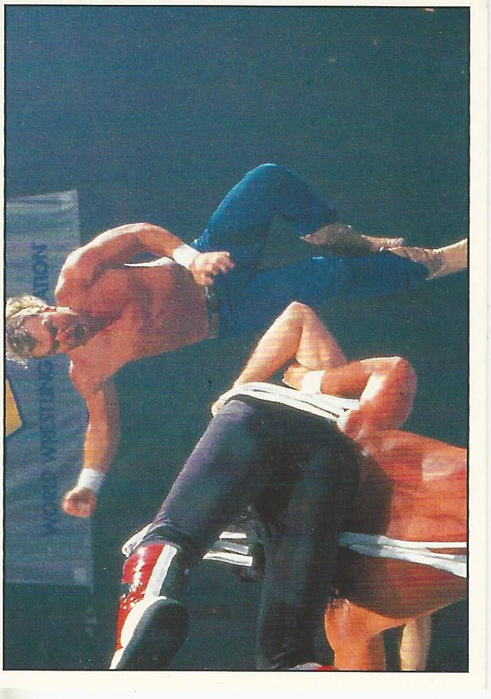 WWF Panini 1995 Sticker Collection Smoking Gunns #203