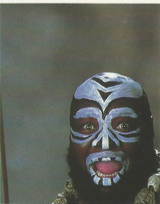 WWF Merlin Stickers 1992 Kamala #203