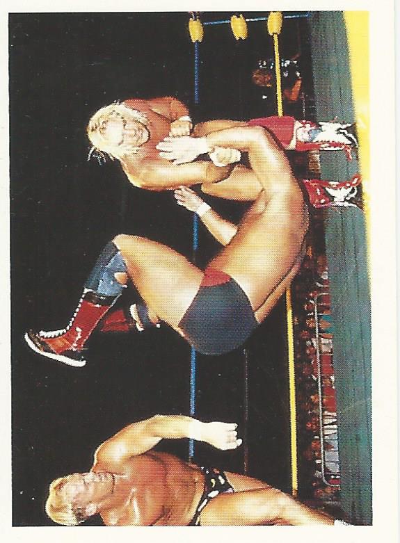 WCW Euroflash 1992 Sticker Steve Austin #203