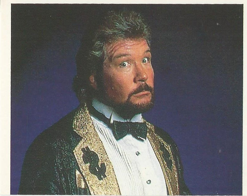 WWF Merlin Stickers 1991 Million Dollar Man Ted DiBiase #204
