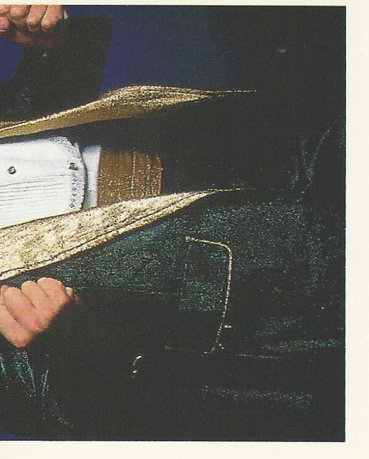 WWF Merlin Stickers 1991 Million Dollar Man Ted Dibiase #205