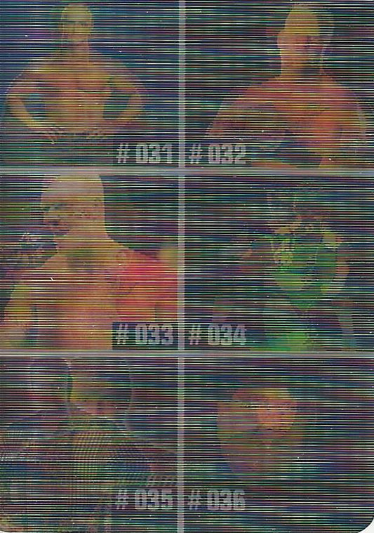 WWE Prominter Animotion 2005 Checkilst #6 Hardcore Holly, Heidenreich, Hurricane, Ross, Lawler