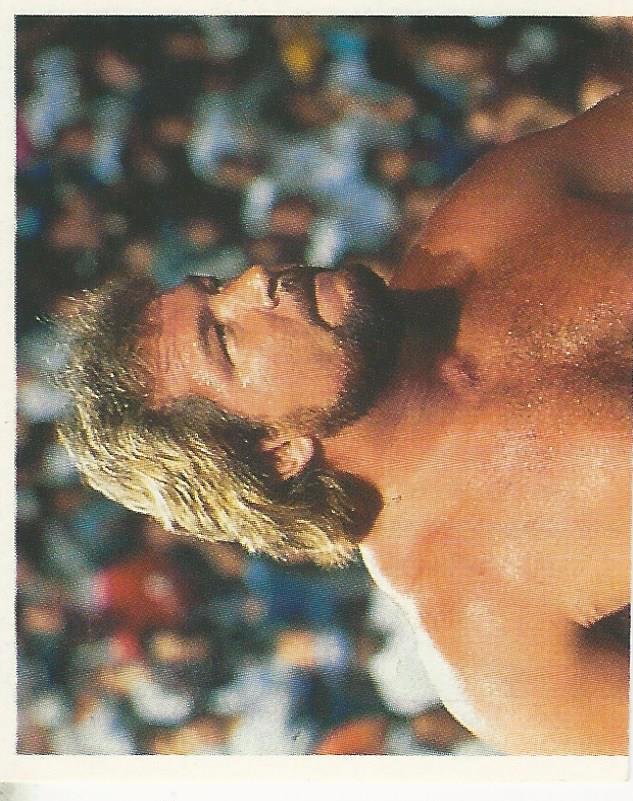 WWF Merlin Stickers 1991 Million Dollar Man Ted Dibiase #206