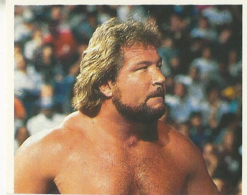 WWF Merlin Stickers 1991 Million Dollar Man Ted DiBiase #206