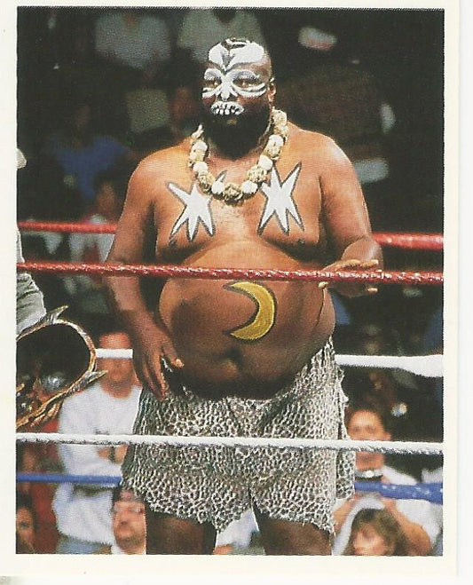 WWF Merlin Stickers 1992 Kamala #207