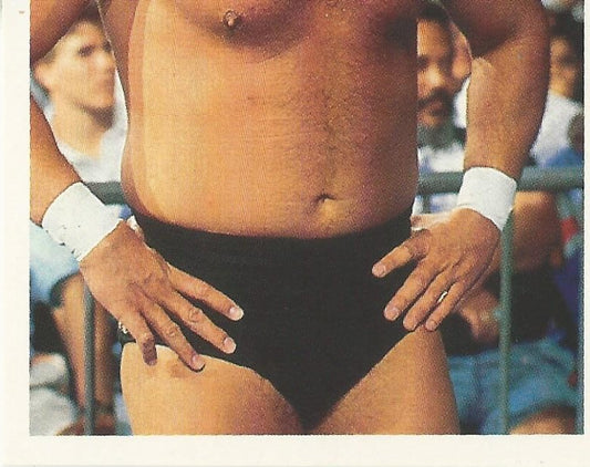 WWF Merlin Stickers 1991 Million Dollar Man Ted DiBiase #207