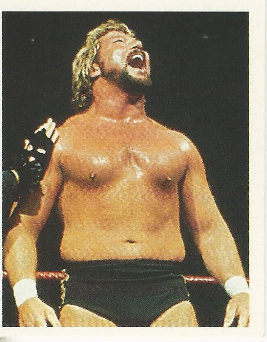 WWF Merlin Stickers 1991 Million Dollar Man Ted Dibiase #208