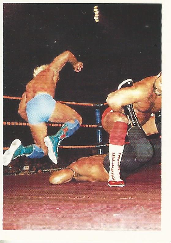 WCW Euroflash 1992 Sticker Ric Flair #208