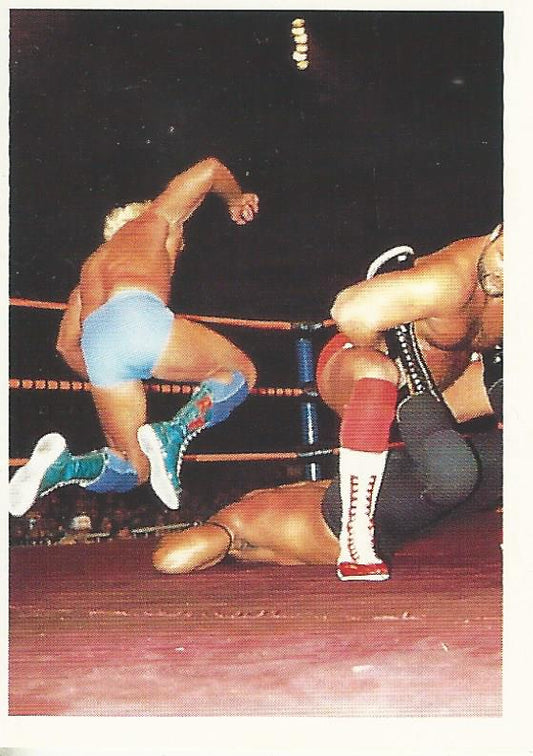 WCW Euroflash 1992 Sticker Ric Flair #208