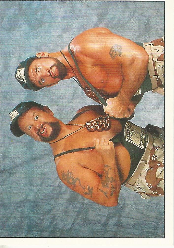 WWF Panini 1995 Sticker Collection Bushwhackers #208