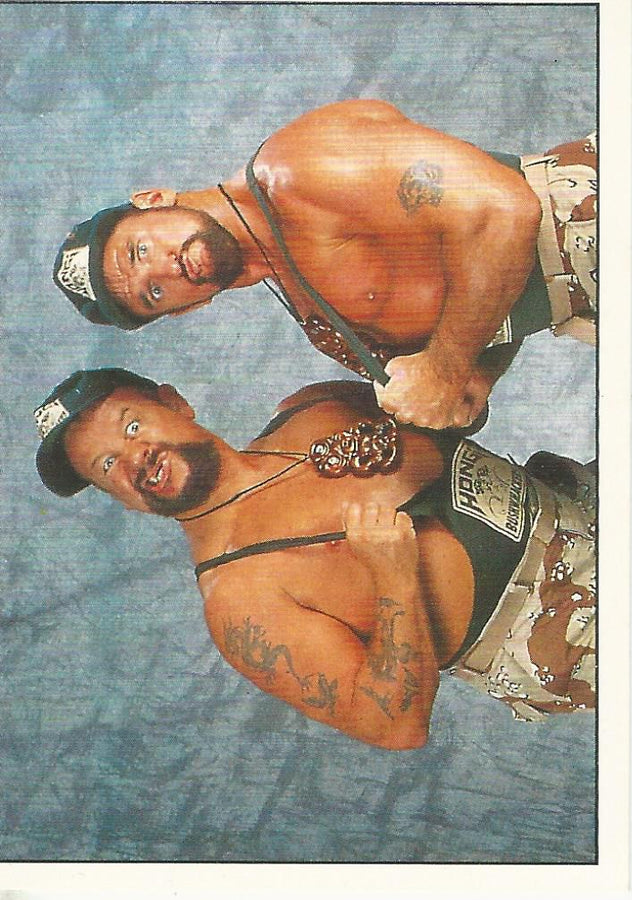 WWF Panini 1995 Sticker Collection Bushwhackers #208