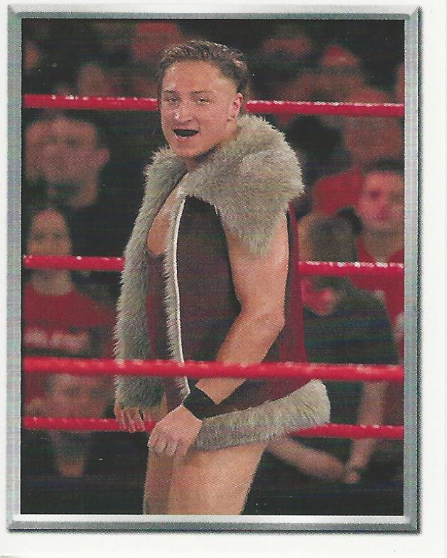 WWE Topps 2018 Stickers Pete Dunne #209