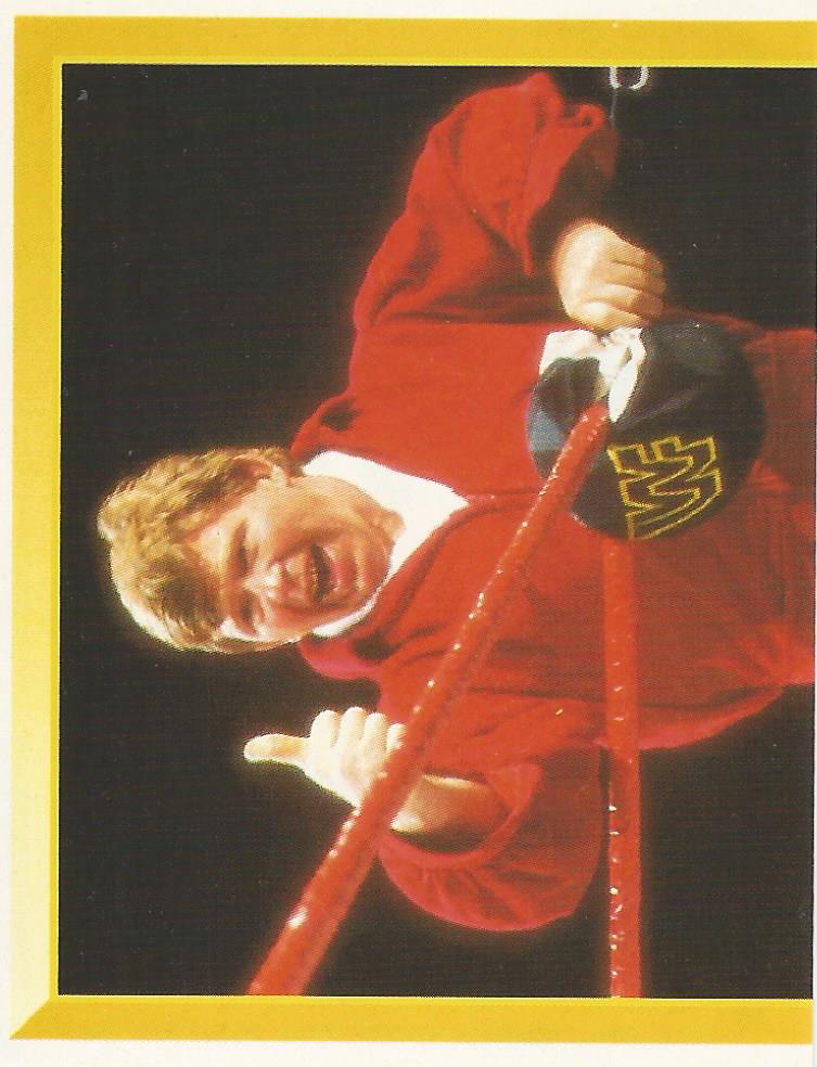 WWF Merlin Sticker 1994 Bob Backlund #20