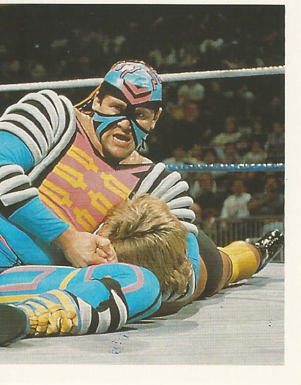 WWF Merlin Stickers 1992 Max Moon #20