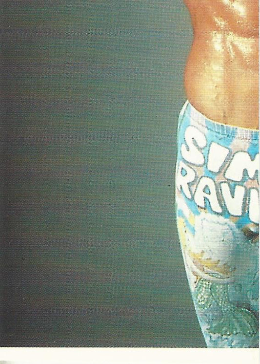 WCW Euroflash 1992 Sticker Rick Rude #20