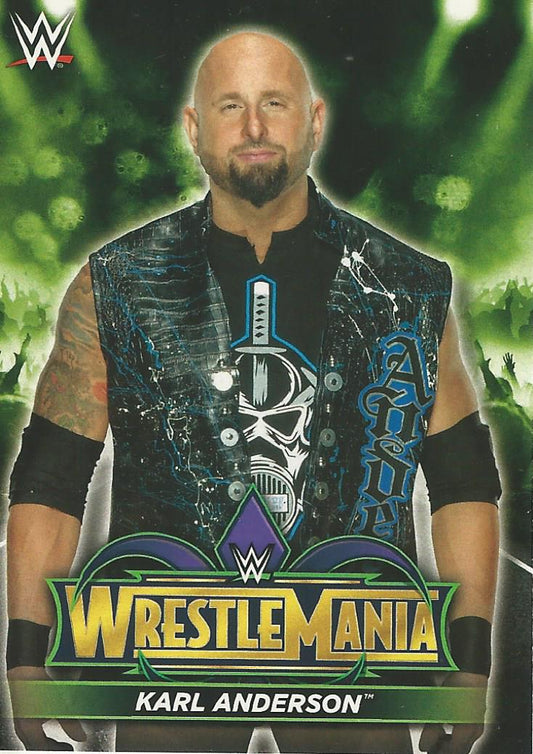 WWE Topps Road to Wrestlemania 2018 Karl Anderson R20 trading card PW Catalog