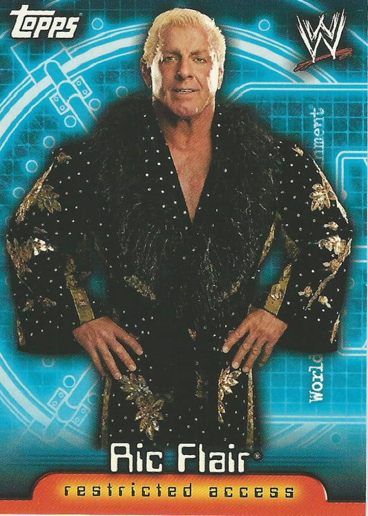 WWE Topps Insider 2006 US Ric Flair #20