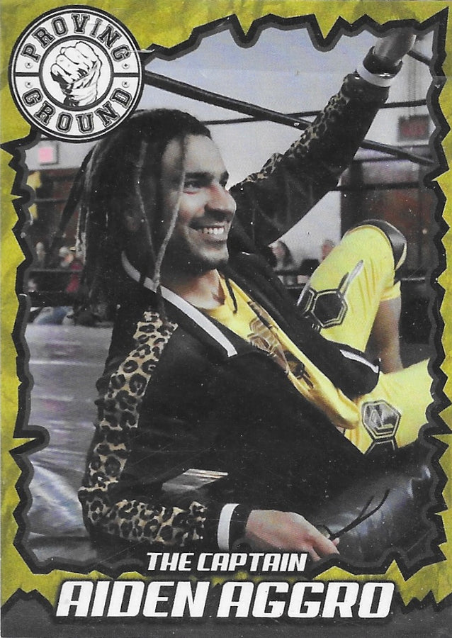 The Captain Aiden Aggro trading card PW Catalog