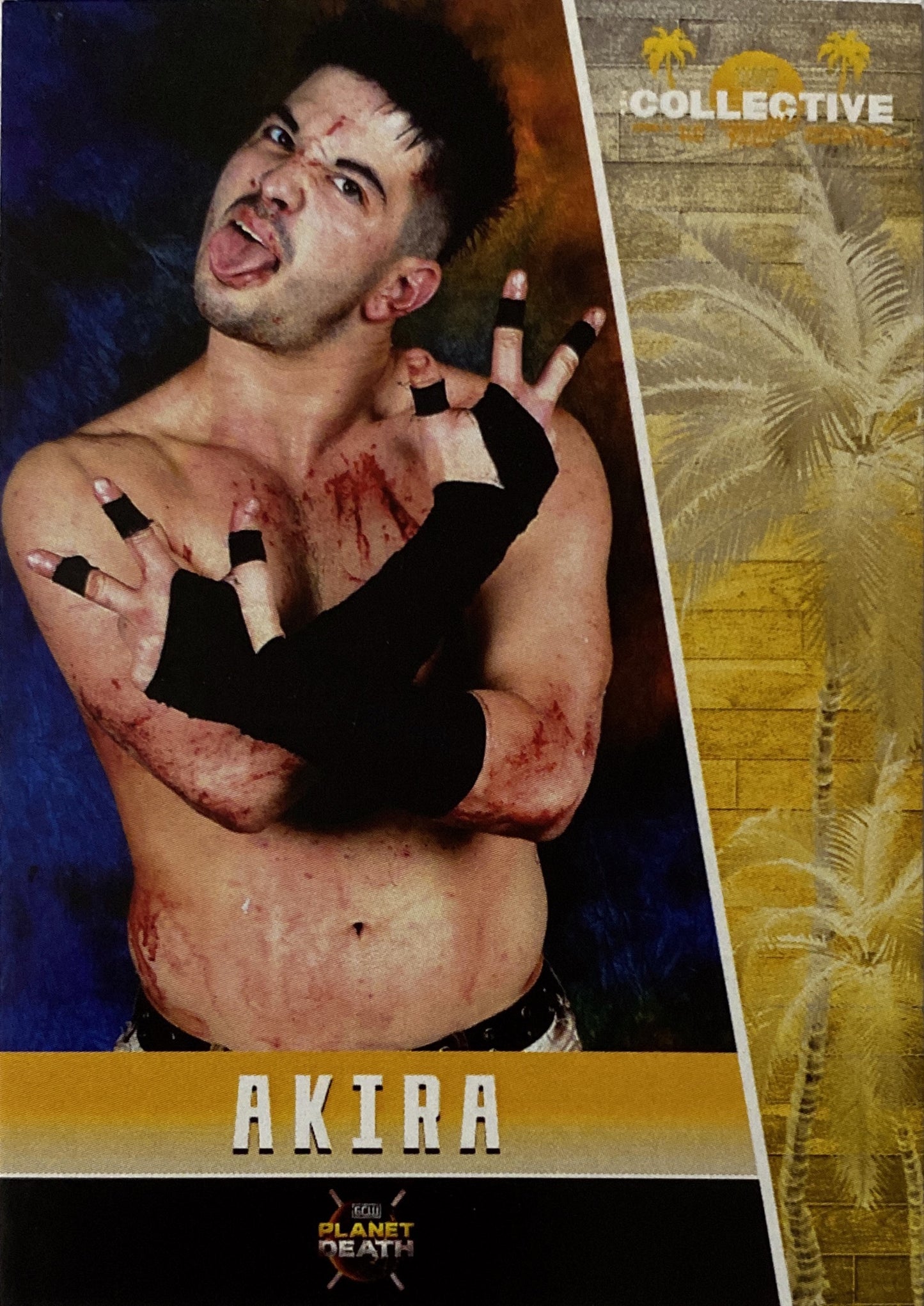 “The Death Samurai” Akira trading card PWcatalog