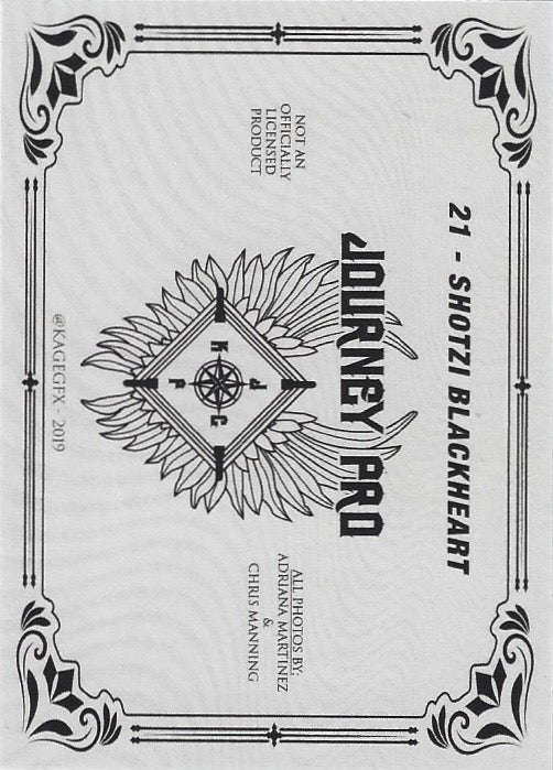 Shotzi Blackheart trading card PW Catalog