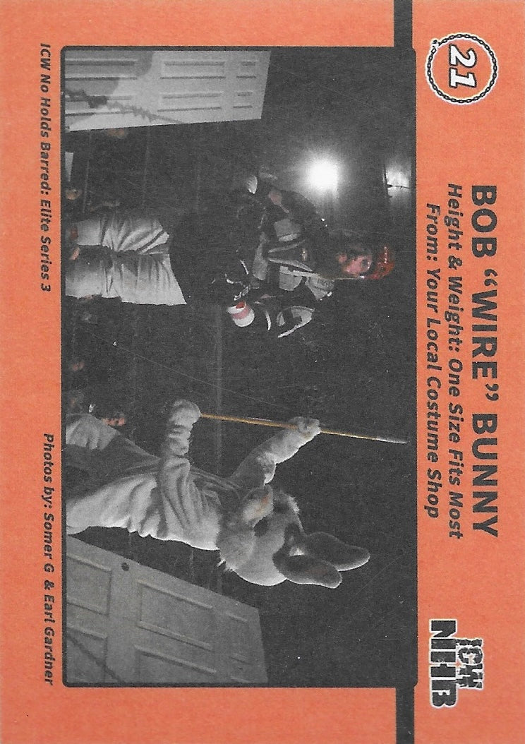 BOB “Wire” Bunny