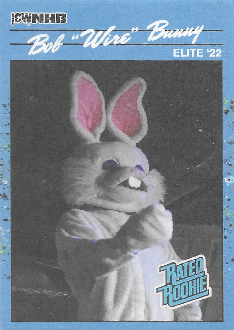 BOB “Wire” Bunny