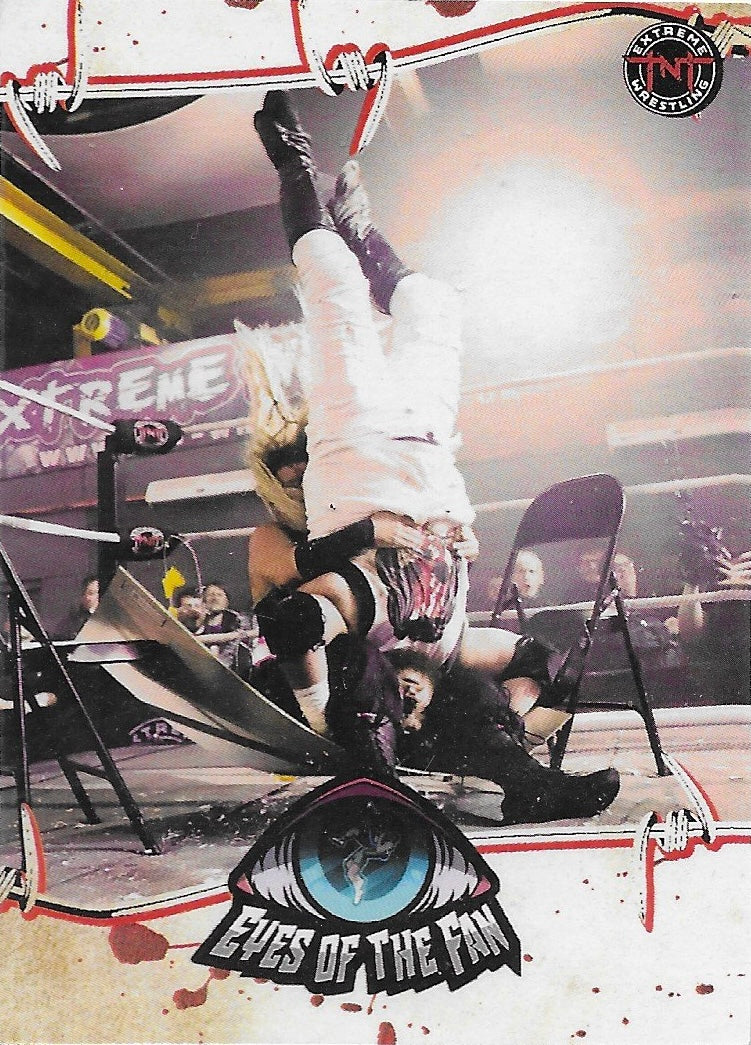 Eyes of the Fan trading card PW Catalog