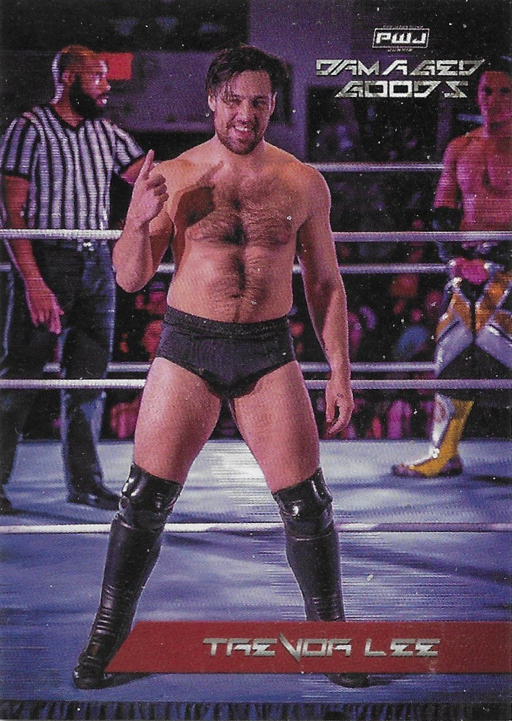 Trevor LEE trading card PW Catalog