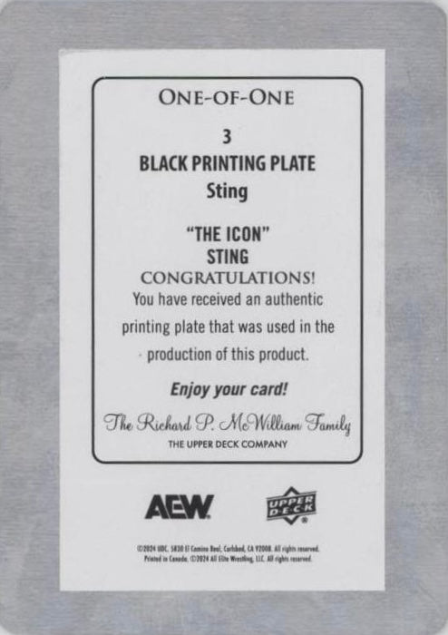 5/30/25 – Sting and Darby Allin Scored Their Second Win AS a Team at Double or Nothing