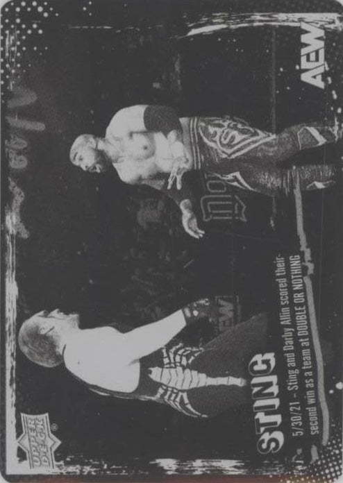 5/30/25 – Sting and Darby Allin Scored Their Second Win AS a Team at Double or Nothing