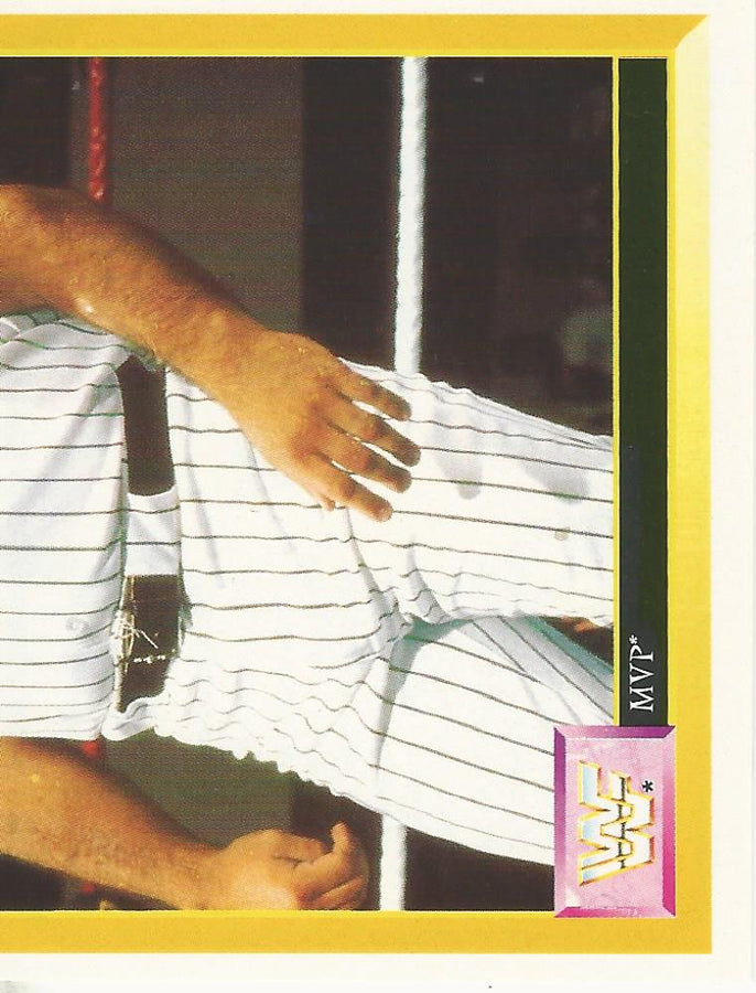 WWF Merlin Sticker 1994 MVP #210