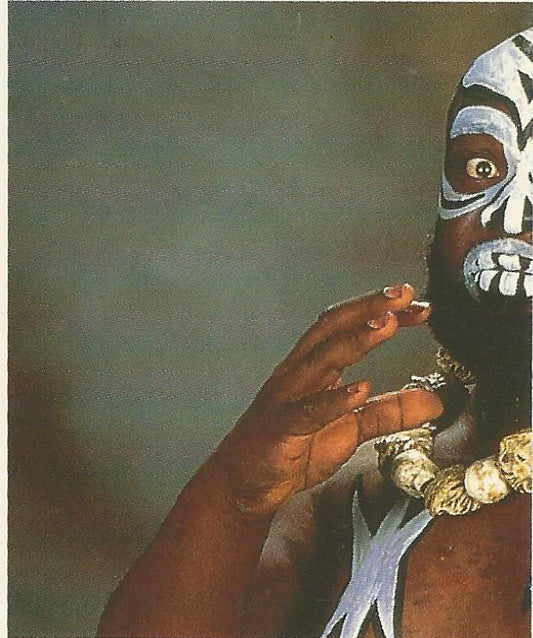 WWF Merlin Stickers 1992 Kamala #210