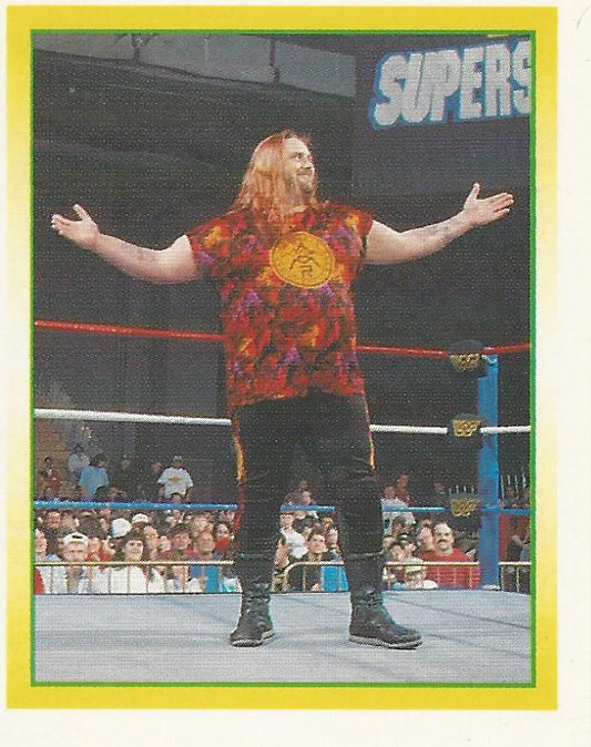 WWF Merlin Stickers 1995 Man Mountain Rock #210