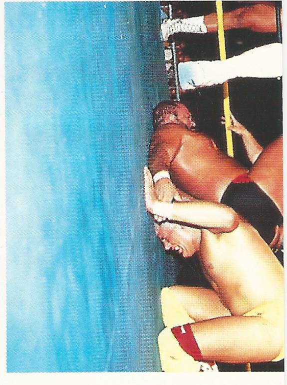 WCW Euroflash 1992 Sticker Dustin Rhodes #210