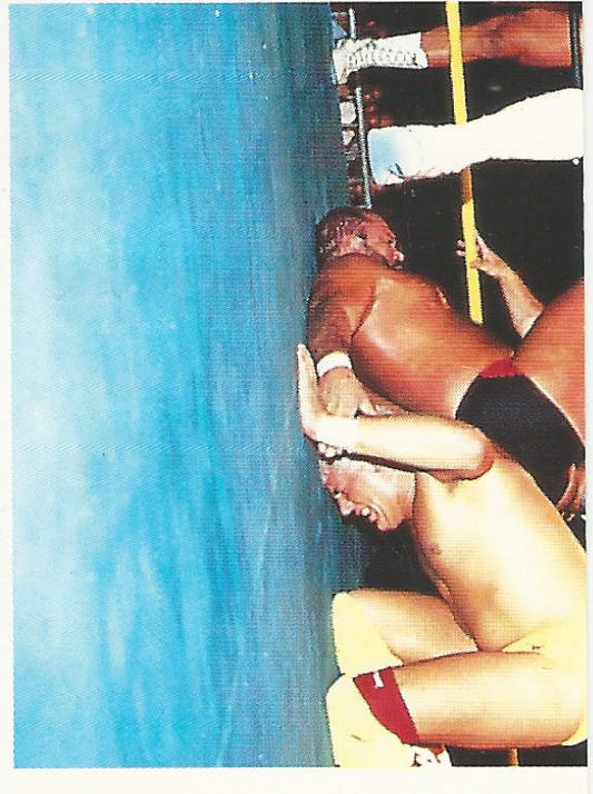 WCW Euroflash 1992 Sticker Dustin Rhodes #210