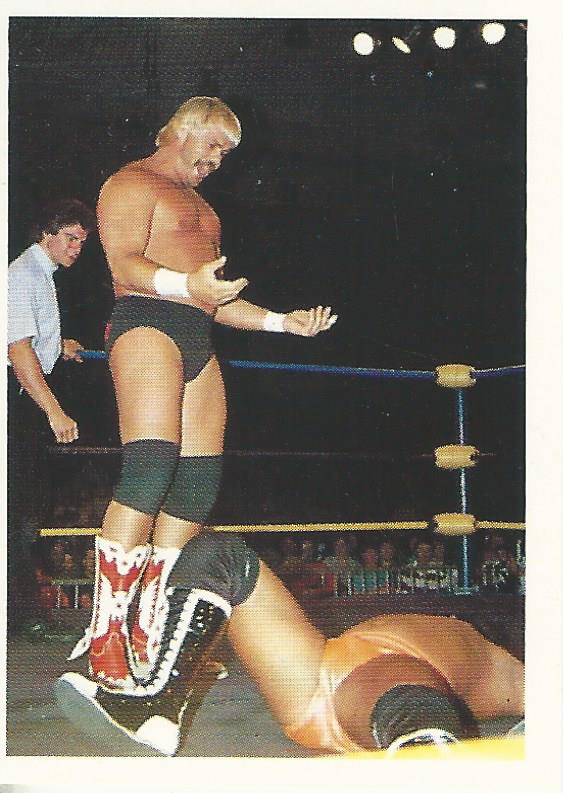 WCW Euroflash 1992 Sticker Barry Windham #211