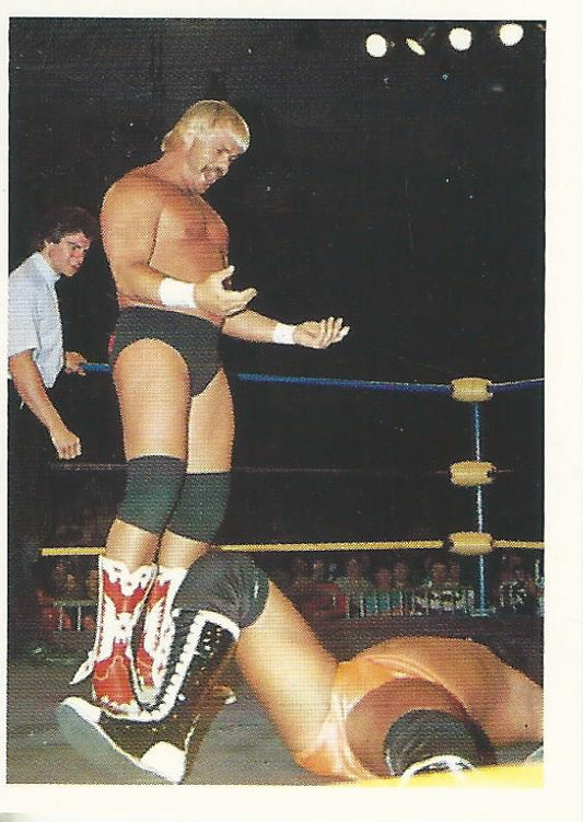 WCW Euroflash 1992 Sticker Barry Windham #211