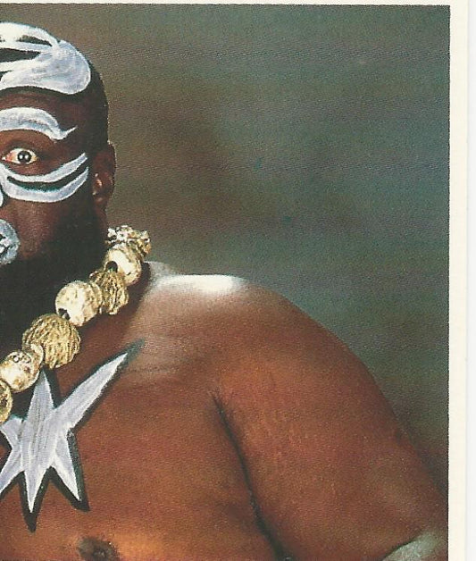 WWF Merlin Stickers 1992 Kamala #211