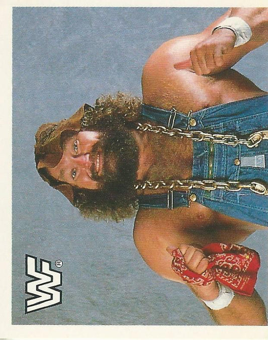 WWF Merlin Sticker Collection 1990 Hillbilly Jim #211