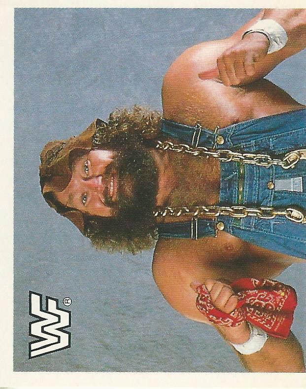 WWF Merlin Sticker Collection 1990 Hillbilly Jim #211