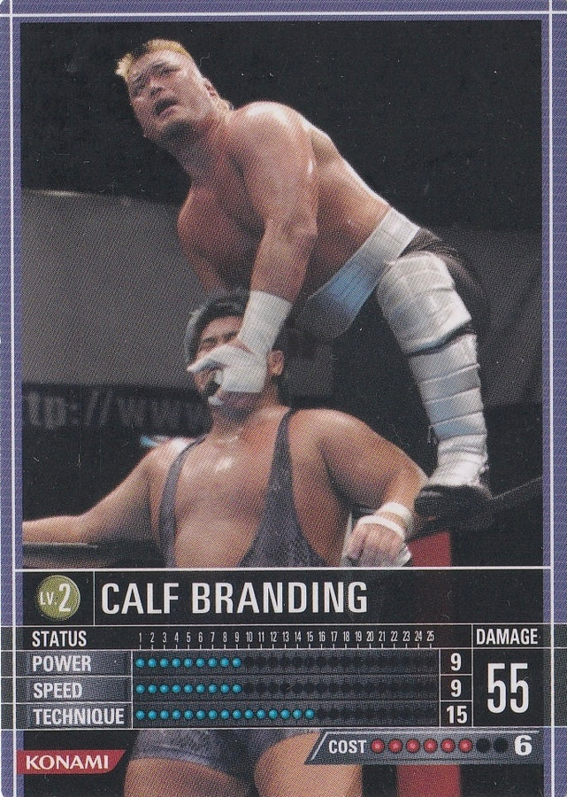 Calf Branding