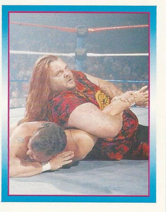 WWF Merlin Stickers 1995 Man Mountain Rock #212