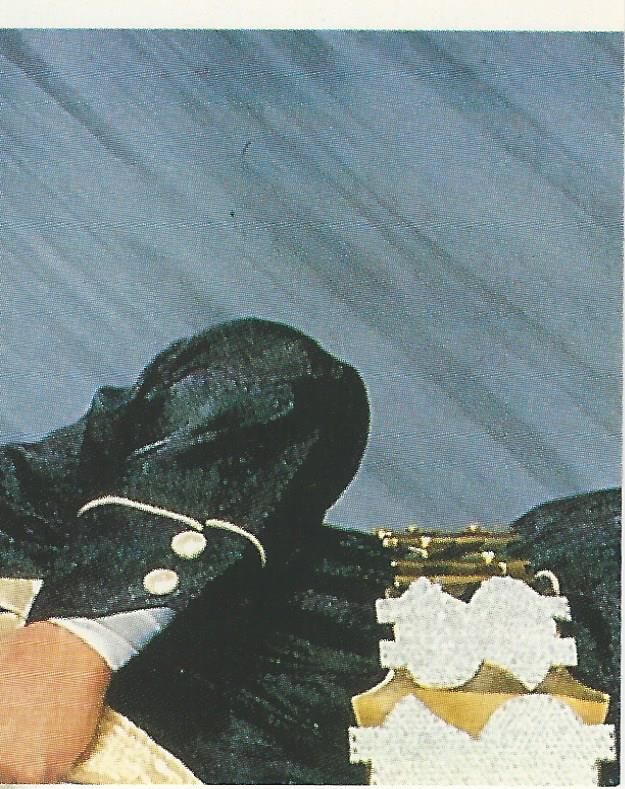 WWF Merlin Stickers 1991 Million Dollar Man Ted Dibiase #213