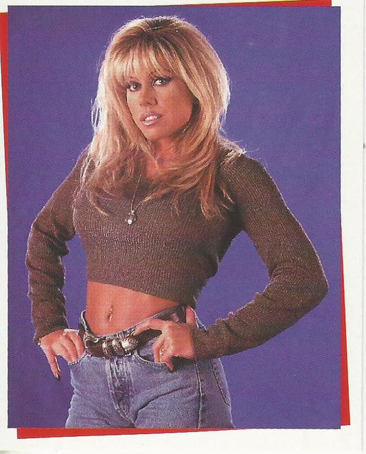 WWF SmackDown Stickers 2000 Terri Runnels #213