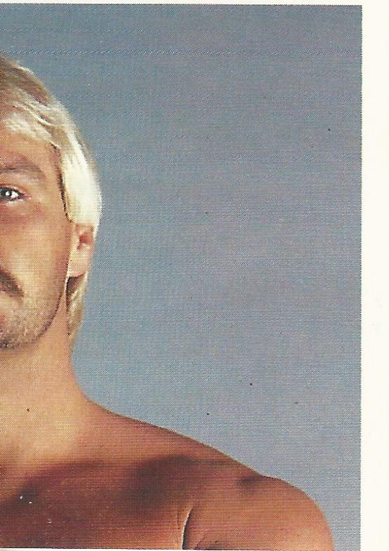 WCW Euroflash 1992 Sticker Barry Windham #213
