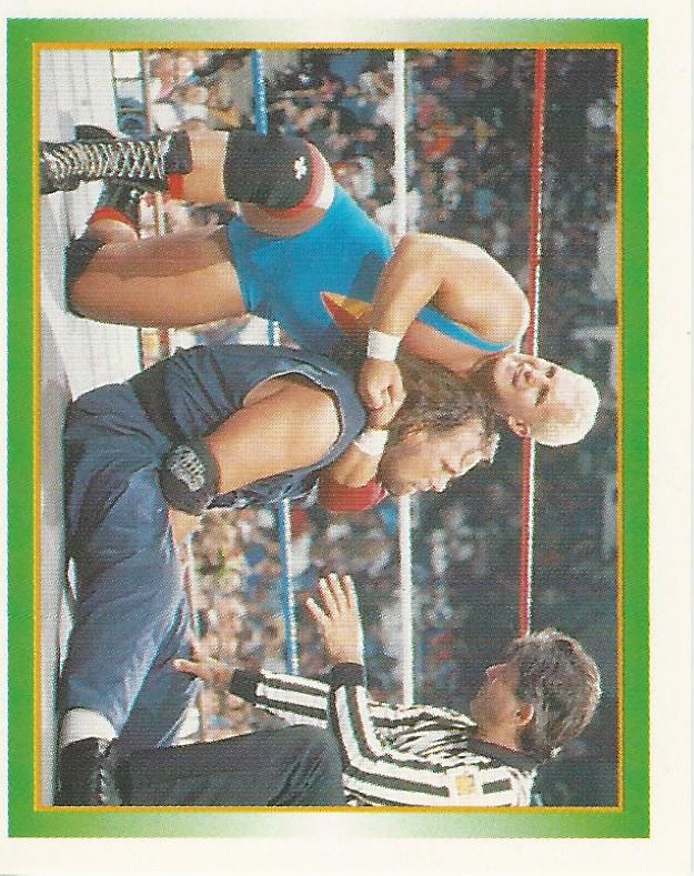 WWF Merlin Stickers 1995 Skip #213