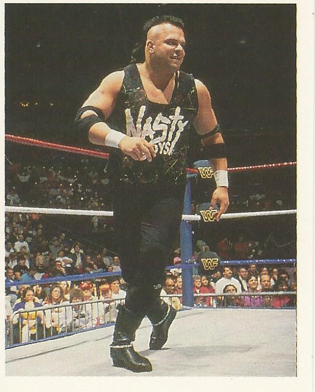 WWF Merlin Stickers 1992 Nasty Boys #213