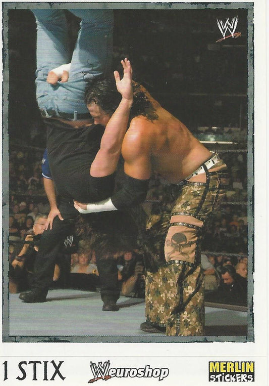 WWE Merlin Heros Stickers 2008 Matt Hardy #86