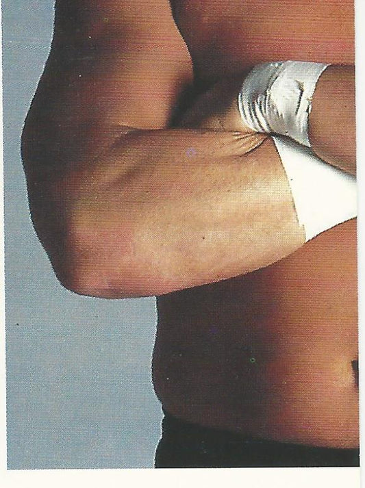 WCW Euroflash 1992 Sticker Barry Windham #214